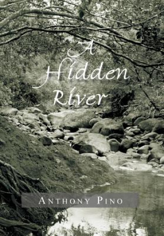 Buch Hidden River Anthony Pino