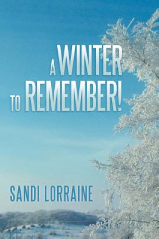 Kniha Winter to Remember! Sandi Lorraine