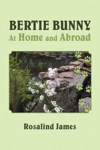 Carte Bertie Bunny at Home and Abroad Rosalind James