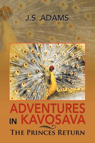 Book Adventures in Kavosava J S Adams