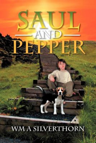 Книга Saul and Pepper Wm A Silverthorn