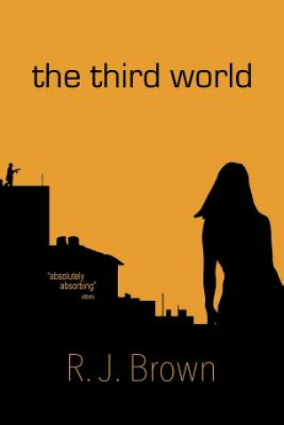 Libro Third World R J Brown