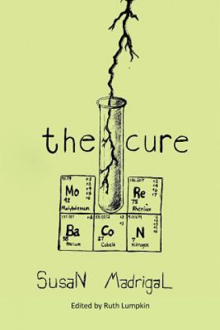 Könyv Cure Susan Madrigal