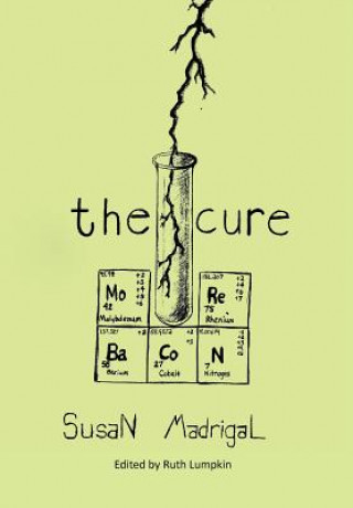 Kniha Cure Susan Madrigal