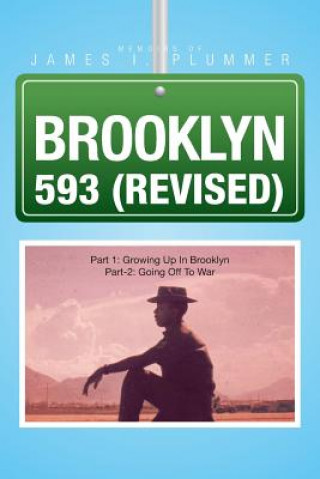 Kniha Brooklyn 593 (Revised) James I Plummer