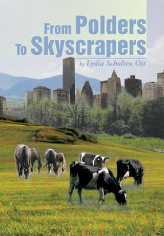 Livre From Polders to Skyscrapers Lydia Scholten Ott