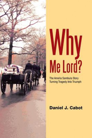 Kniha Why Me Lord? Daniel J Cabot