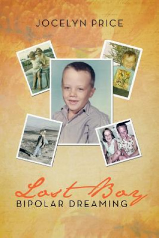Boek Lost Boy- Bipolar Dreaming Jocelyn M Price