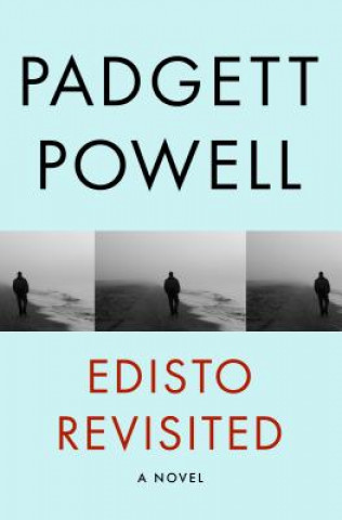 Kniha Edisto Revisited Padgett Powell