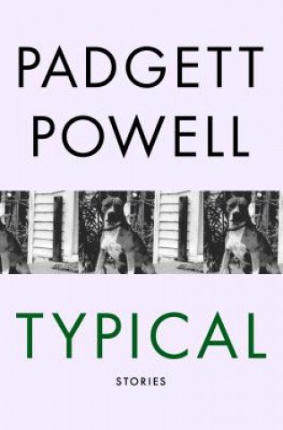Buch Typical Padgett Powell