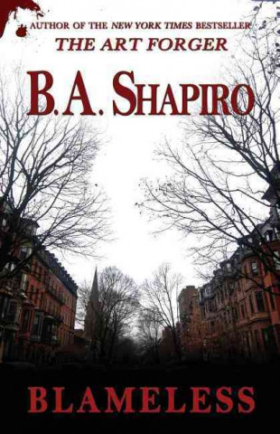 Kniha Blameless B a Shapiro