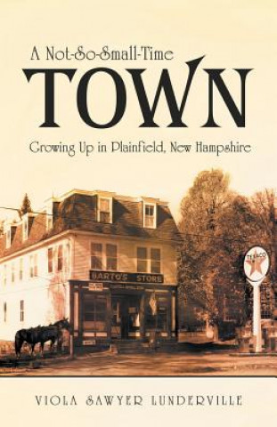 Carte Not-So-Small-Time Town Viola Sawyer Lunderville