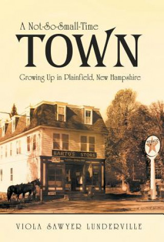 Книга Not-So-Small-Time Town Viola Sawyer Lunderville