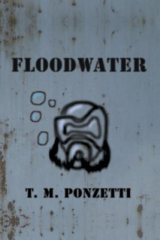 Book Floodwater T M Ponzetti