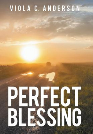 Livre Perfect Blessing Viola C Anderson