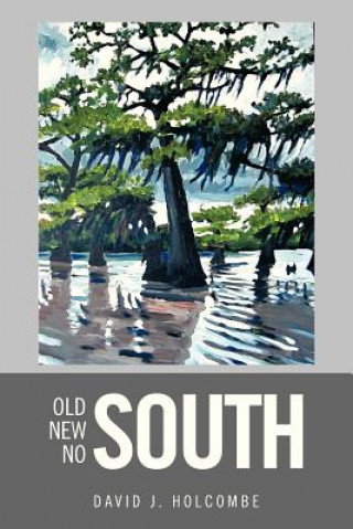 Książka Old South, New South, No South David J Holcombe