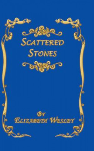 Livre Scattered Stones Elizabeth Wesley