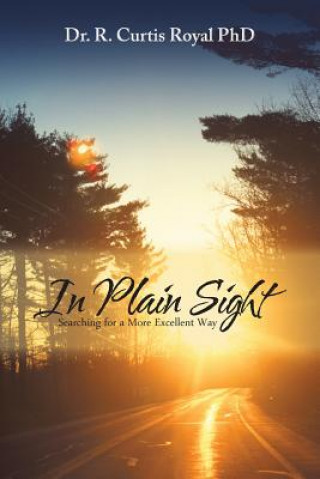 Buch In Plain Sight Dr. R. Curtis Royal PhD