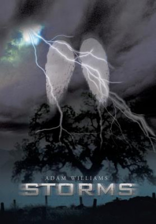 Книга Storms Adam Williams