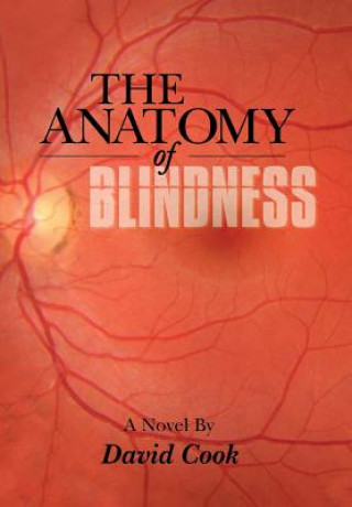 Książka Anatomy of Blindness David Cook