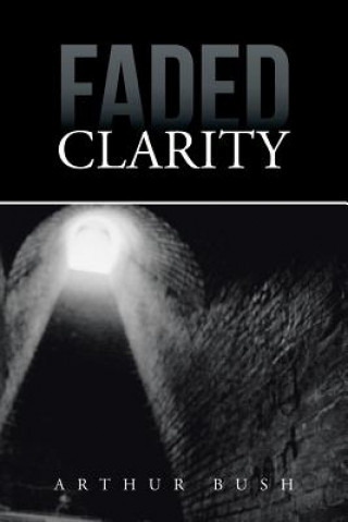 Buch Faded Clarity Arthur Bush