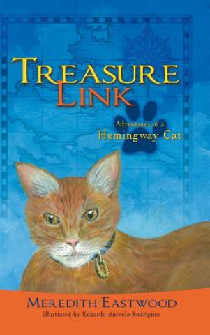 Buch Treasure Link Meredith Eastwood