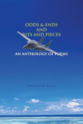 Buch Odds & Ends and Bits and Pieces Rose Wills