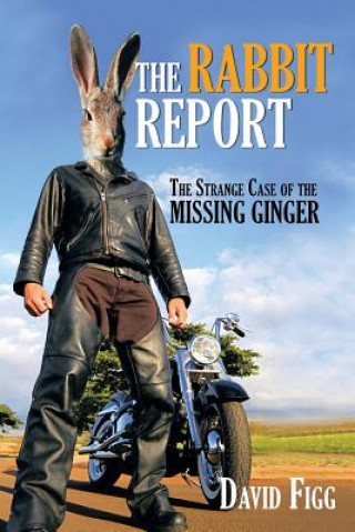 Kniha Rabbit Report David Figg