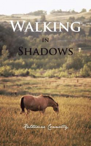 Buch Walking in Shadows Katherine Connolly