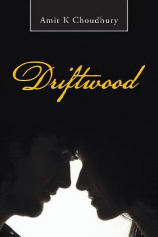 Libro Driftwood Amit K Choudhury