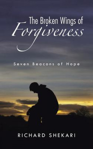 Книга Broken Wings of Forgiveness Richard Shekari