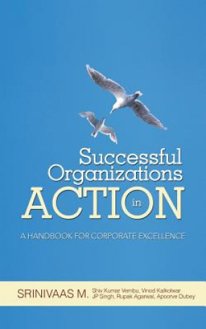 Carte Successful Organizations in Action Srinivaas M