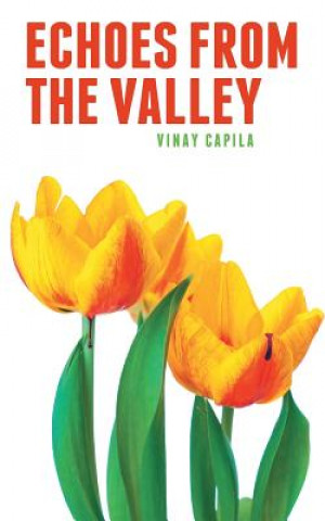 Knjiga Echoes from the Valley Vinay Capila