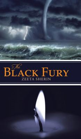 Libro Black Fury Zeeta Sherin