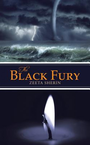 Kniha Black Fury Zeeta Sherin