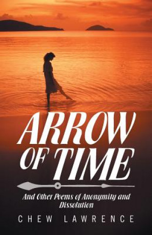 Kniha Arrow of Time Chew Lawrence