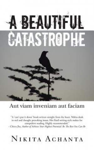 Könyv Beautiful Catastrophe Nikita Achanta