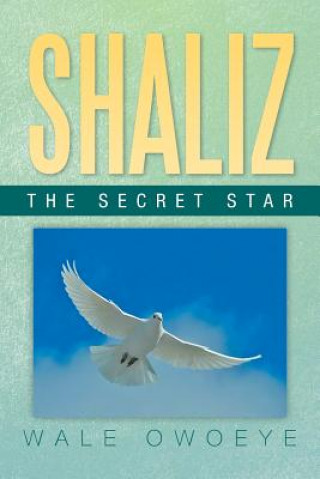 Buch Shaliz - The Secret Star Wale Owoeye