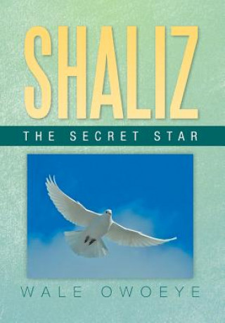 Kniha Shaliz - The Secret Star Wale Owoeye