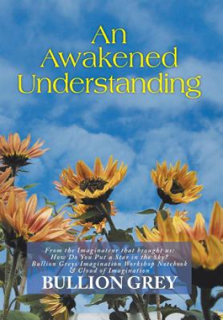 Kniha Awakened Understanding Bullion Grey