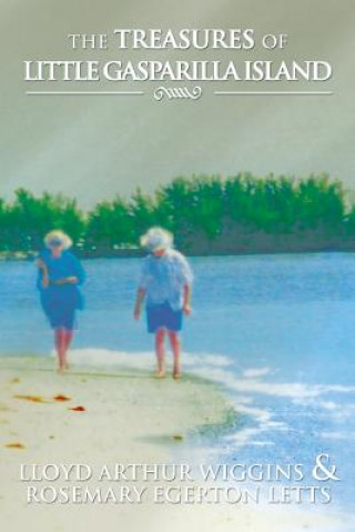 Buch Treasures of Little Gasparilla Island Rosemary Egerton Letts