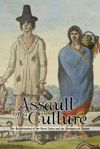 Kniha Assault on a Culture Charles E Adams Jr