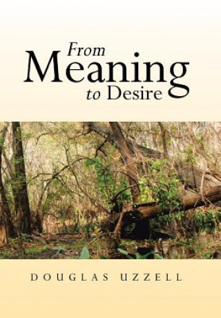 Knjiga From Meaning to Desire Douglas Uzzell