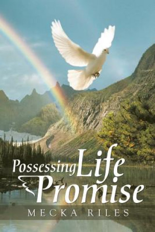 Buch Possessing Life Promise Mecka Riles