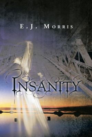 Kniha Insanity E J Morris