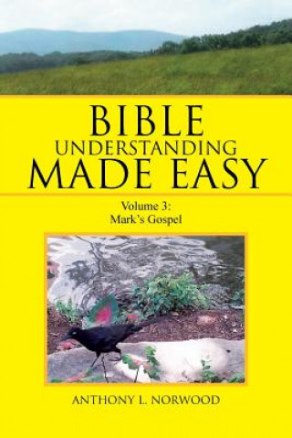 Könyv Bible Understanding Made Easy Anthony L Norwood