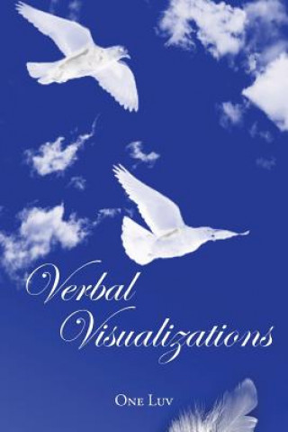 Boek Verbal Visualizations One Luv