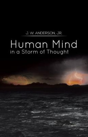 Buch Human Mind in a Storm of Thought J W Anderson Jr