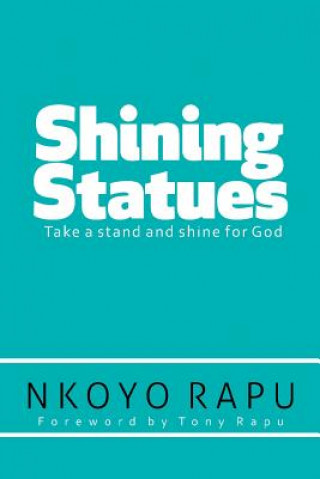 Libro Shining Statues Nkoyo Rapu