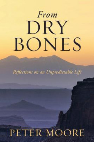 Kniha From Dry Bones Peter Moore